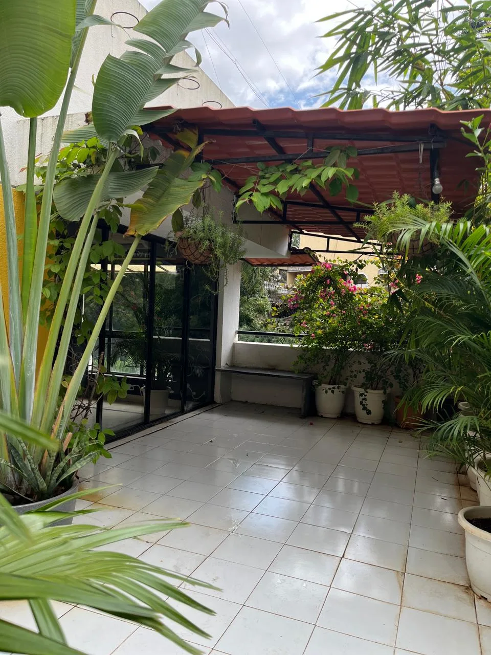 Pet-friendly terrace area at Bizarre Salon Lulanagar Pune